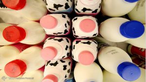افزایش قیمت شیر منتفی شد
