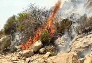 آتش به منطقه حفاظت شده کوه خامی گچساران رسید