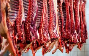 شهرستان اقلید از مراکز اصلی تولید گوشت قرمز در فارس