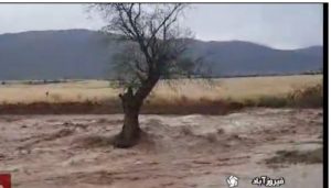 بارش باران بهاری و جاری شدن سیلاب در فیروزآباد