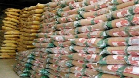مخبر: واردات برنج خارجی همچنان ممنوع است