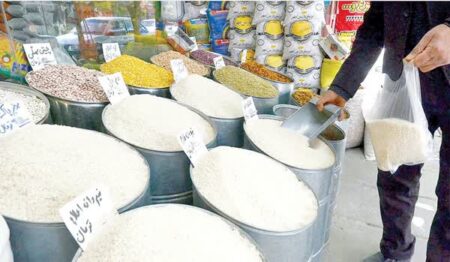 برنج ایرانی در کش و قوس‌های بخش خصوصی و دولتی