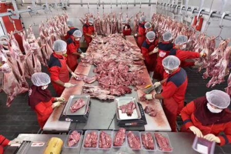 قیمت گوشت فصل بهار متعادل می‌شود
