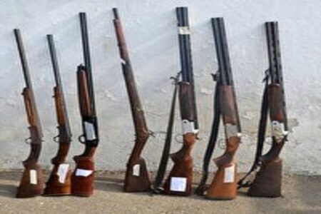 قانون مجازات قاچاق اسلحه» در مجلس یازدهم اصلاح می‌شود؟